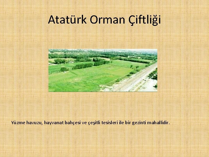 Atatürk Orman Çiftliği Yüzme havuzu, hayvanat bahçesi ve çeşitli tesisleri ile bir gezinti mahallidir.