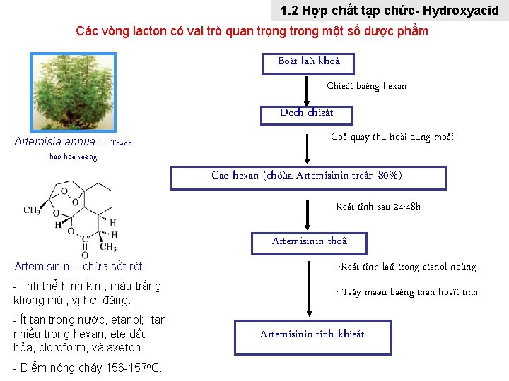 1. 2 Hợp chất tạp chức- Hydroxyacid Các vòng lacton có vai trò quan