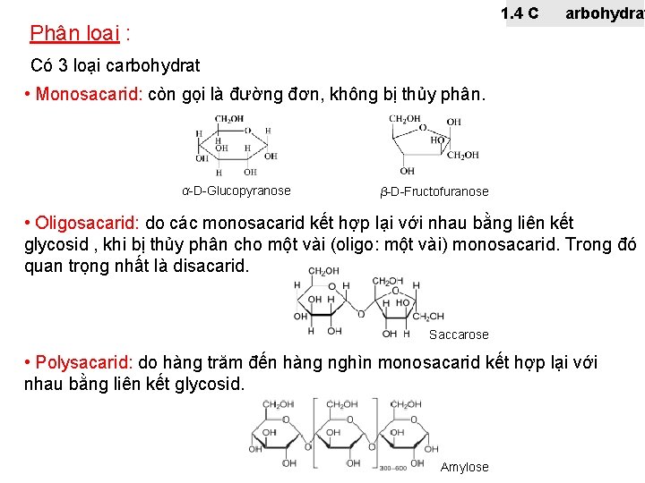 1. 4 C Phân loại : arbohydrat Có 3 loại carbohydrat • Monosacarid: còn