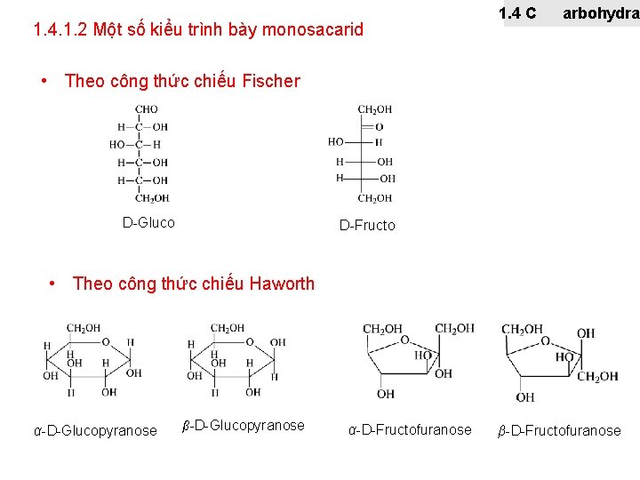 1. 4. 1. 2 Một số kiểu trình bày monosacarid 1. 4 C arbohydra