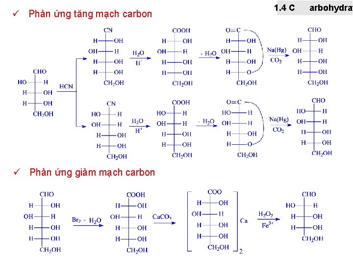 ü Phản ứng tăng mạch carbon ü Phản ứng giảm mạch carbon 1. 4