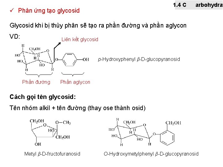 1. 4 C ü Phản ứng tạo glycosid arbohydrat Glycosid khi bị thủy phân