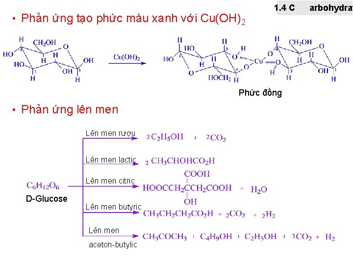  • Phản ứng tạo phức màu xanh với Cu(OH)2 1. 4 C Phức