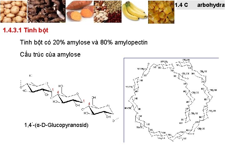 1. 4 C 1. 4. 3. 1 Tinh bột có 20% amylose và 80%