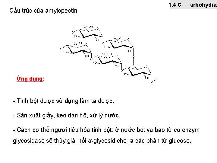 Cấu trúc của amylopectin 1. 4 C arbohydrat Ứng dụng: - Tinh bột được