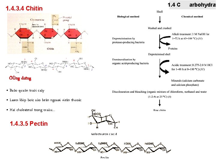 1. 4. 3. 4 Chitin ÖÙng duïng • Baûo quaûn traùi caây • Laøm