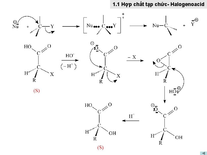 1. 1 Hợp chất tạp chức- Halogenoacid 