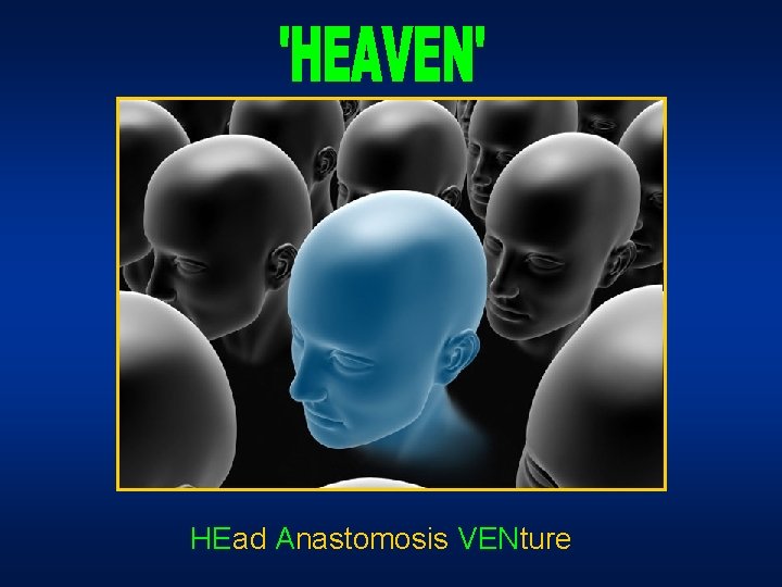 HEad Anastomosis VENture HEad Anastomosis VENture
