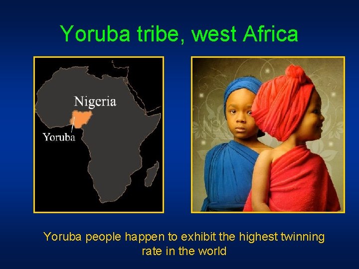 Yoruba tribe, west Africa Yoruba people happen to exhibit the highest twinning rate in Yoruba tribe, west Africa Yoruba people happen to exhibit the highest twinning rate in