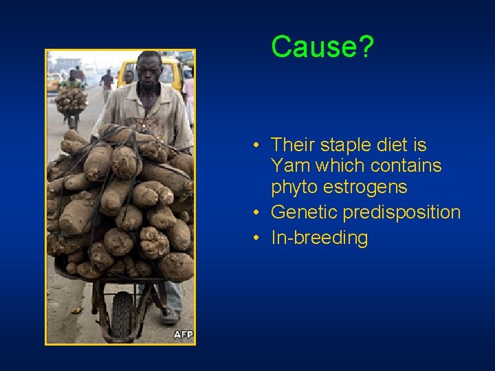 Cause? • Their staple diet is Yam which contains phyto estrogens • Genetic Cause? • Their staple diet is Yam which contains phyto estrogens • Genetic