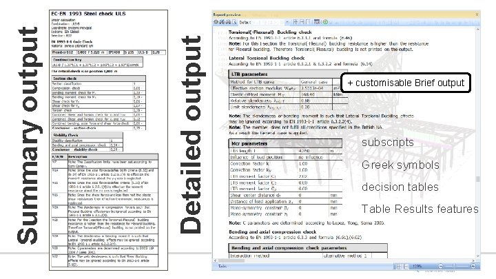 Detailed output Summary output + customisable Brief output subscripts Greek symbols decision tables Table