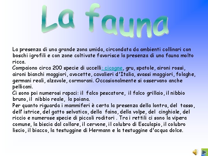 La presenza di una grande zona umida, circondata da ambienti collinari con boschi igrofili