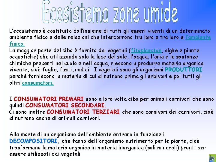 L’ecosistema è costituito dall’insieme di tutti gli esseri viventi di un determinato ambiente fisico