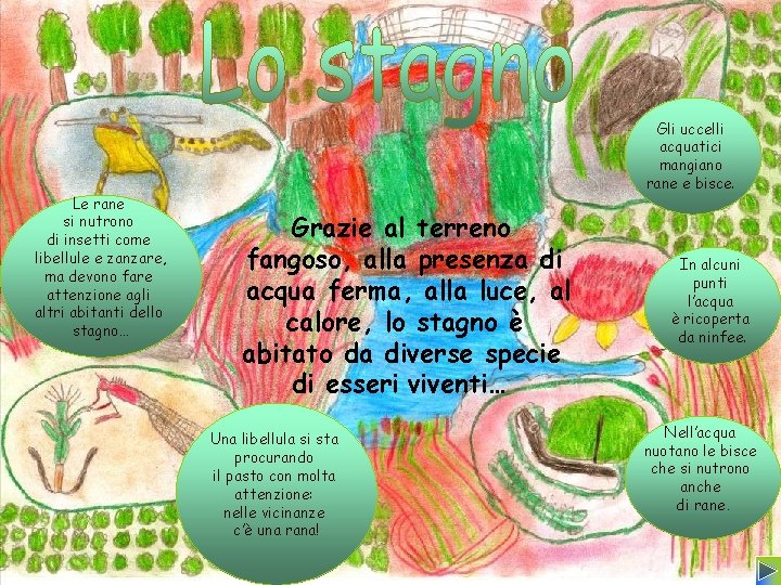 Le rane si nutrono di insetti come libellule e zanzare, ma devono fare attenzione