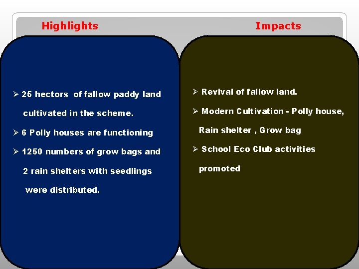 Highlights Impacts Ø 25 hectors of fallow paddy land cultivated in the scheme. Highlights Impacts Ø 25 hectors of fallow paddy land cultivated in the scheme.