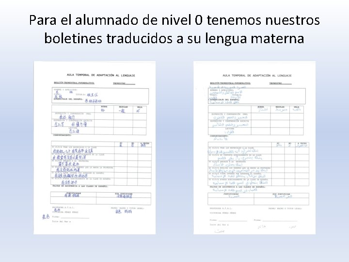 Para el alumnado de nivel 0 tenemos nuestros boletines traducidos a su lengua materna