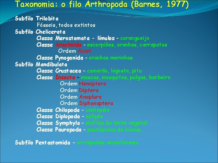 Taxonomia: o filo Arthropoda (Barnes, 1977) Subfilo Trilobita Fósseis, todos extintos Subfilo Chelicerata Classe