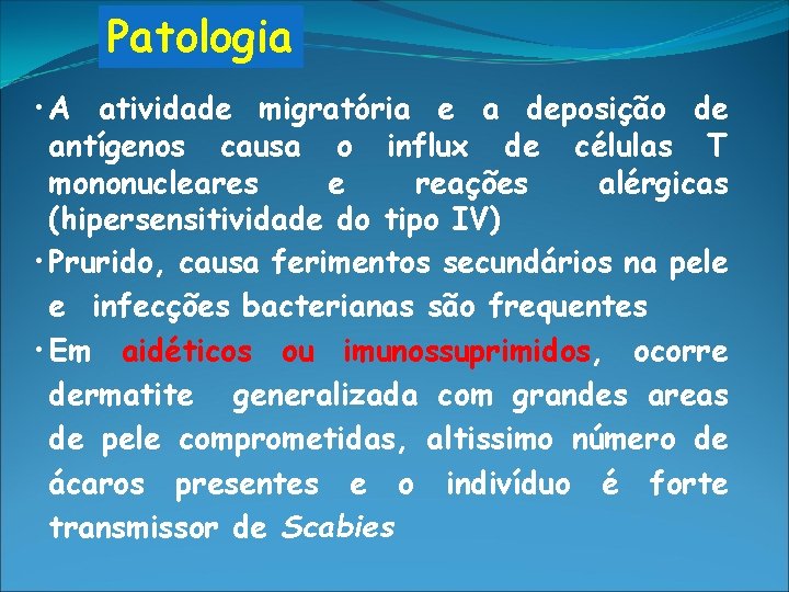 Patologia • A atividade migratória e a deposição de antígenos causa o influx de