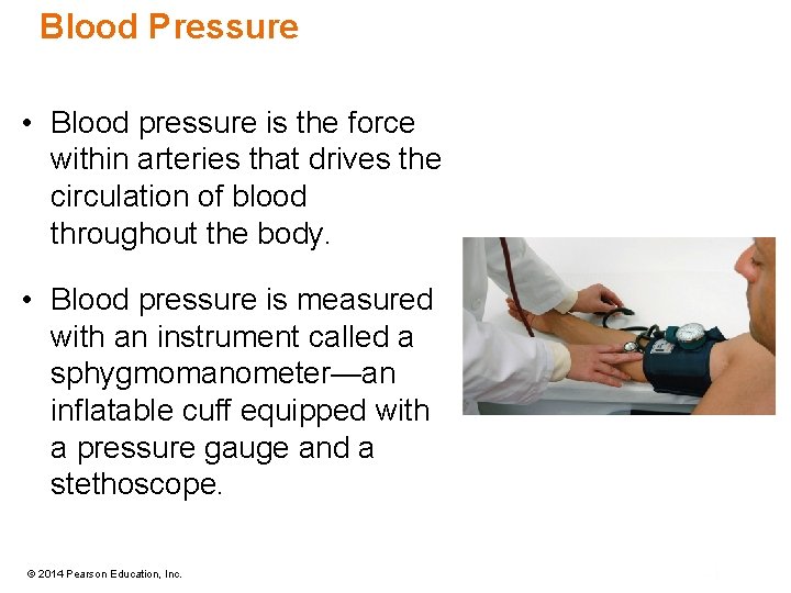 Blood Pressure • Blood pressure is the force within arteries that drives the circulation