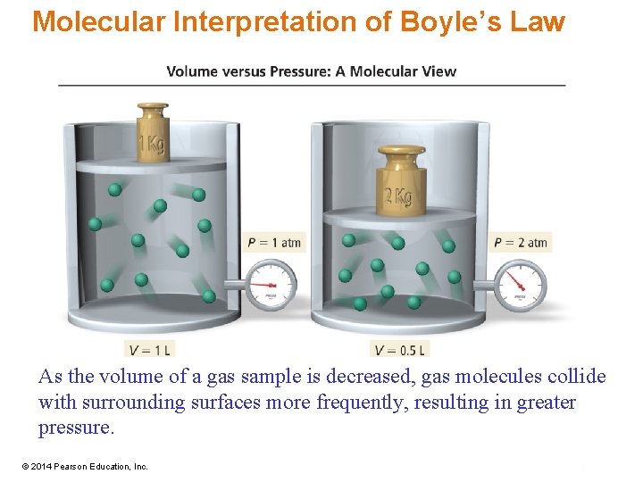 Molecular Interpretation of Boyle’s Law As the volume of a gas sample is decreased,