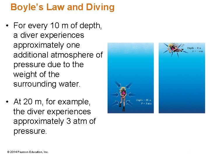 Boyle’s Law and Diving • For every 10 m of depth, a diver experiences