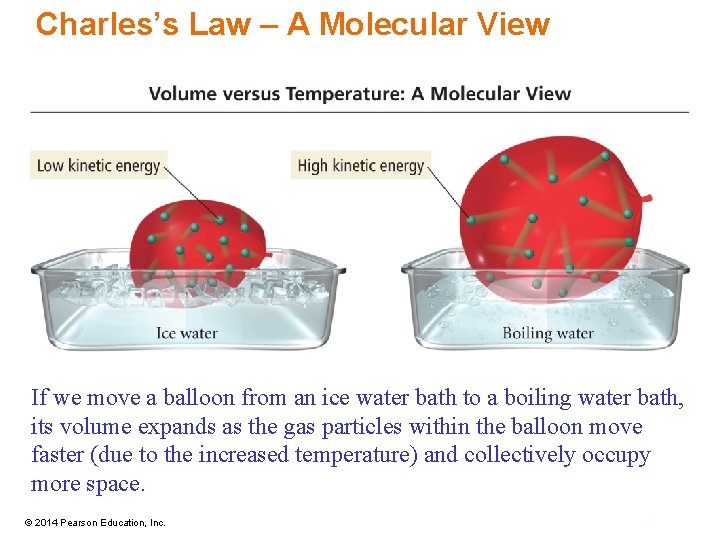 Charles’s Law – A Molecular View If we move a balloon from an ice