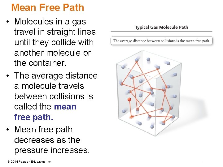 Mean Free Path • Molecules in a gas travel in straight lines until they