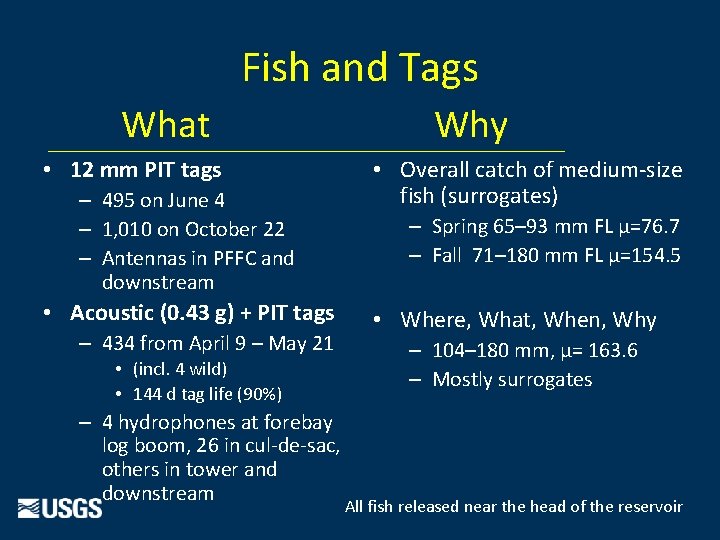 Fish and Tags What • 12 mm PIT tags – 495 on June 4