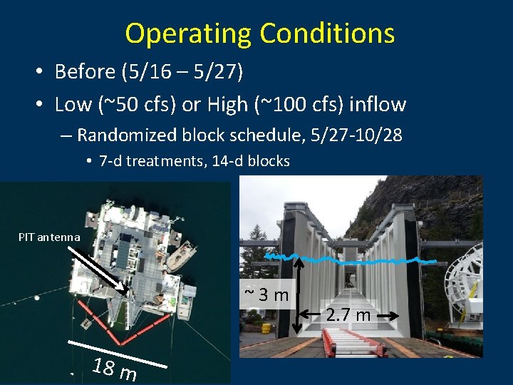 Operating Conditions • Before (5/16 – 5/27) • Low (~50 cfs) or High (~100