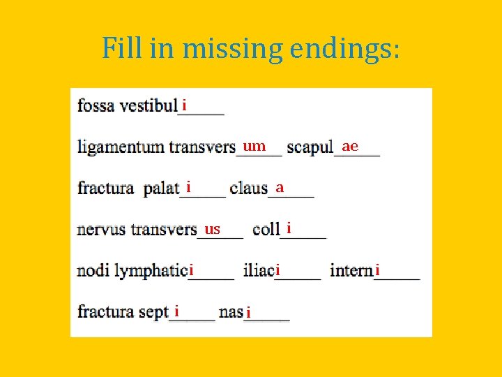 Fill in missing endings: i um i ae a i us i i i