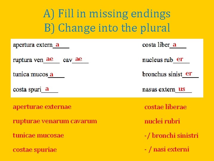 A) Fill in missing endings B) Change into the plural a ae er er