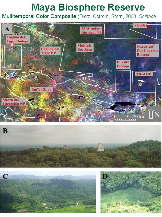 Maya Biosphere Reserve Multitemporal Color Composite (Dietz, Ostrom, Stern, 2003, Science SOM) 