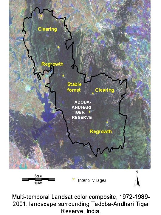 Clearing Regrowth Stable forest Clearing TADOBAANDHARI TIGER RESERVE Regrowth Interior villages Multi-temporal Landsat color