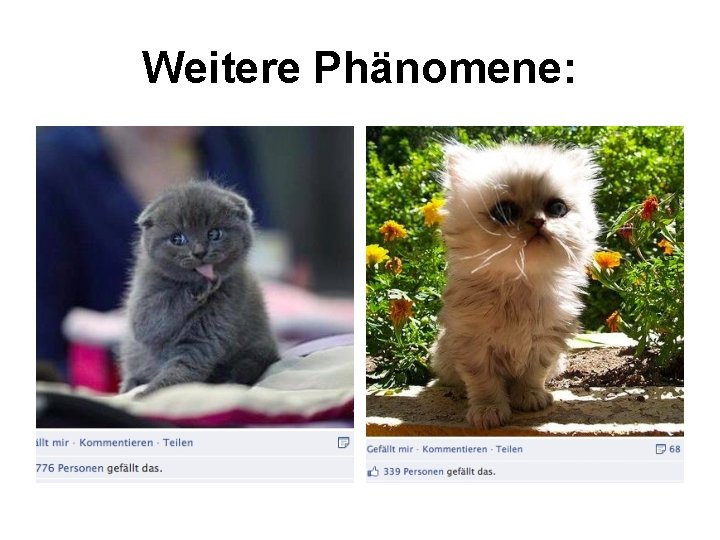 Weitere Phänomene: 