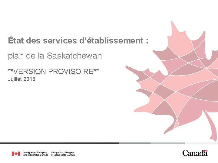 État des services d’établissement : plan de la Saskatchewan **VERSION PROVISOIRE** Juillet 2018 