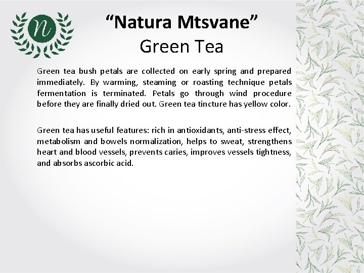 “Natura Mtsvane” Green Tea Green tea bush petals are collected on early spring and “Natura Mtsvane” Green Tea Green tea bush petals are collected on early spring and