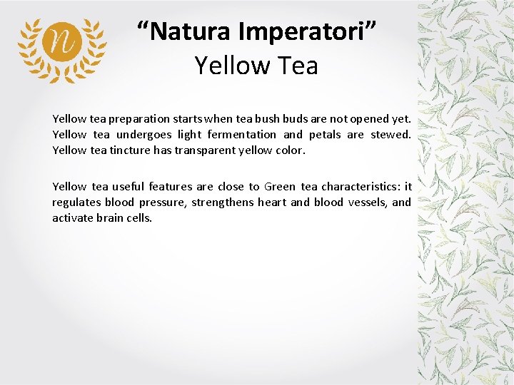 “Natura Imperatori” Yellow Tea Yellow tea preparation starts when tea bush buds are not “Natura Imperatori” Yellow Tea Yellow tea preparation starts when tea bush buds are not