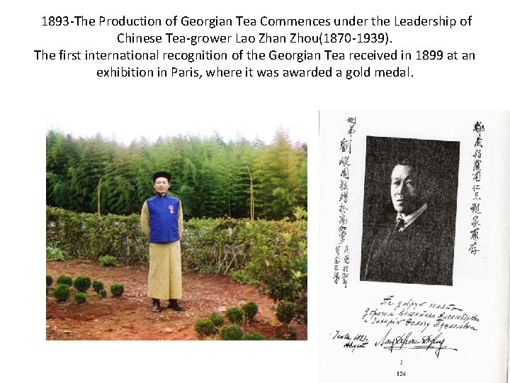 1893 -The Production of Georgian Tea Commences under the Leadership of Chinese Tea-grower Lao 1893 -The Production of Georgian Tea Commences under the Leadership of Chinese Tea-grower Lao