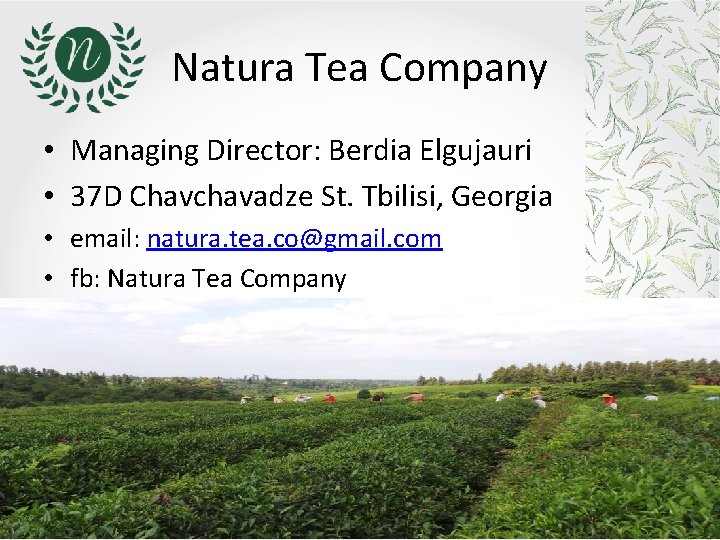 Natura Tea Company • Managing Director: Berdia Elgujauri • 37 D Chavchavadze St. Tbilisi, Natura Tea Company • Managing Director: Berdia Elgujauri • 37 D Chavchavadze St. Tbilisi,