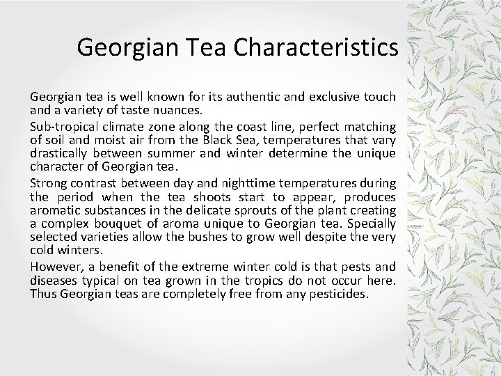 Georgian Tea Characteristics Georgian tea is well known for its authentic and exclusive touch Georgian Tea Characteristics Georgian tea is well known for its authentic and exclusive touch