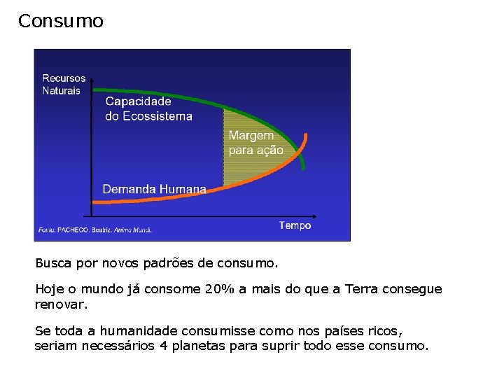 Consumo Busca por novos padrões de consumo. Hoje o mundo já consome 20% a