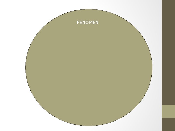 FENOMEN 