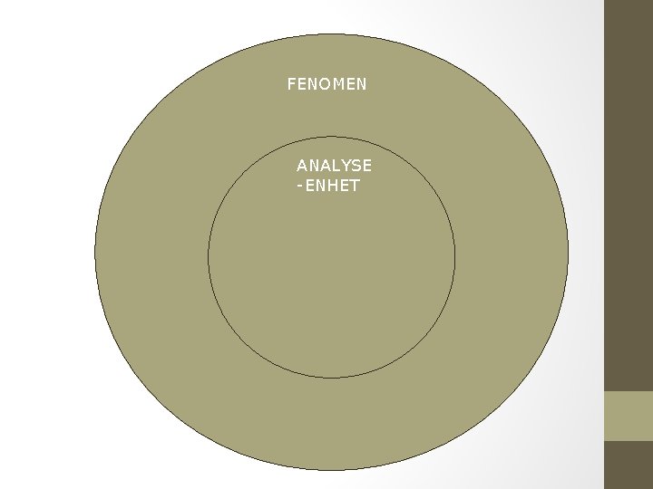 FENOMEN ANALYSE-ENHET 