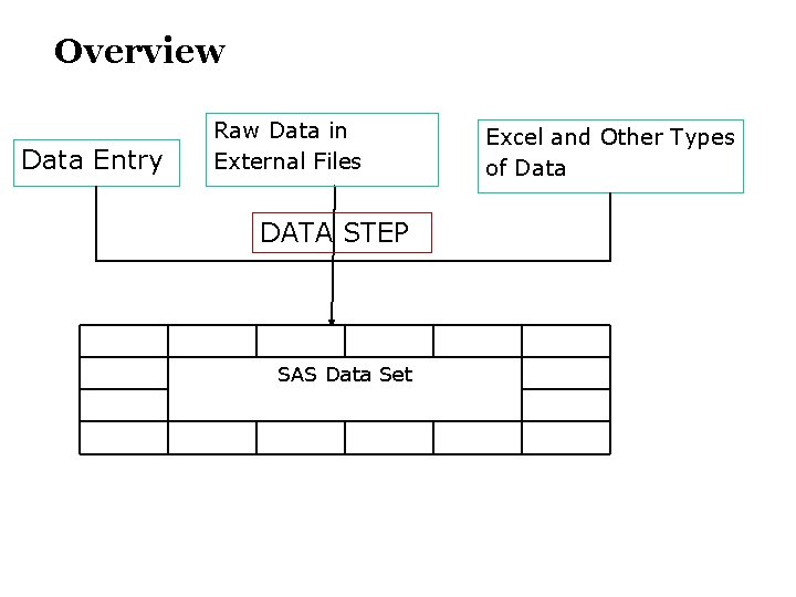 Overview Data Entry Raw Data in External Files DATA STEP SAS Data Set Excel
