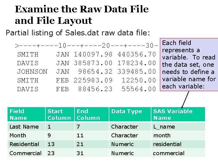 Examine the Raw Data File and File Layout Partial listing of Sales. dat raw