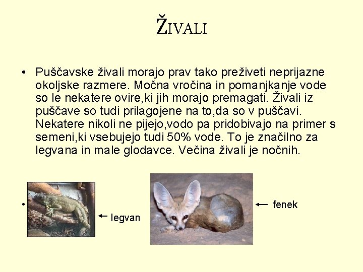 ŽIVALI • Puščavske živali morajo prav tako preživeti neprijazne okoljske razmere. Močna vročina in