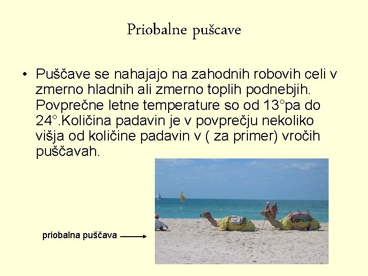 Priobalne pušcave • Puščave se nahajajo na zahodnih robovih celi v zmerno hladnih ali