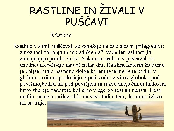 RASTLINE IN ŽIVALI V PUŠČAVI RAstline Rastline v suhih puščavah se zanašajo na dve