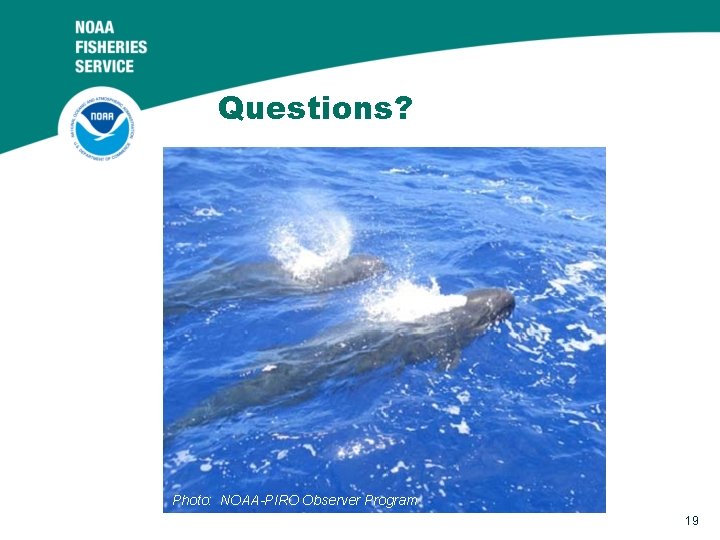 Questions? Photo: NOAA-PIRO Observer Program 19 