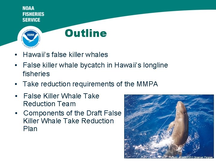 Outline • Hawaii’s false killer whales • False killer whale bycatch in Hawaii’s longline